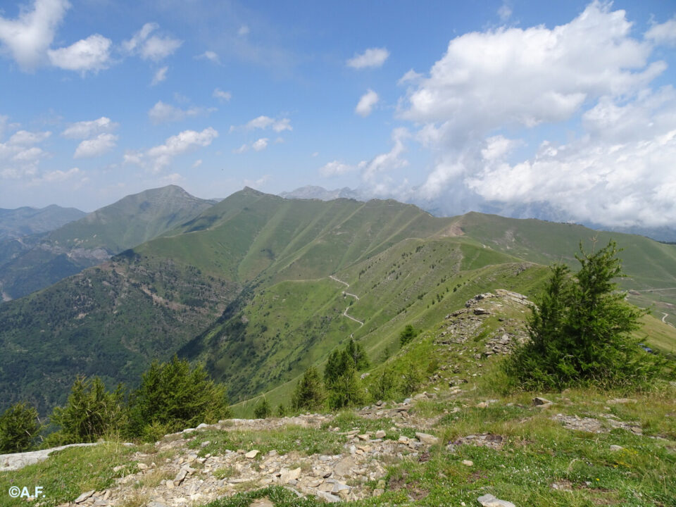 Panorama dal Monte Saccarello verso la Cima Missun e il Monte Bertrand