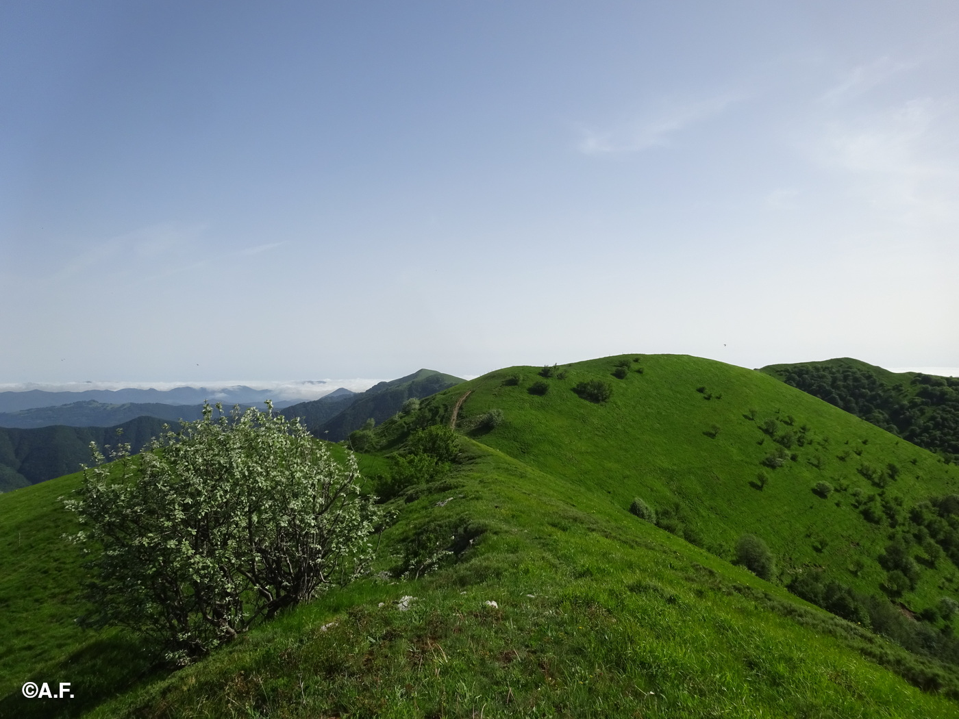 Percorrendo l’ondulato dorso del Monte Cavalmurone