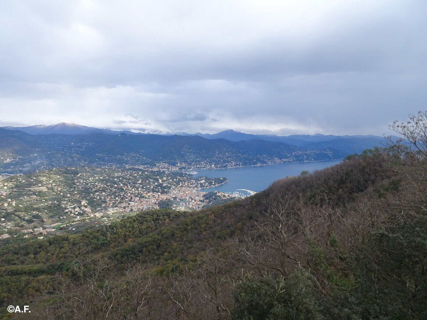 Panorama sul Golfo del Tigullio dal Monte delle Bocche