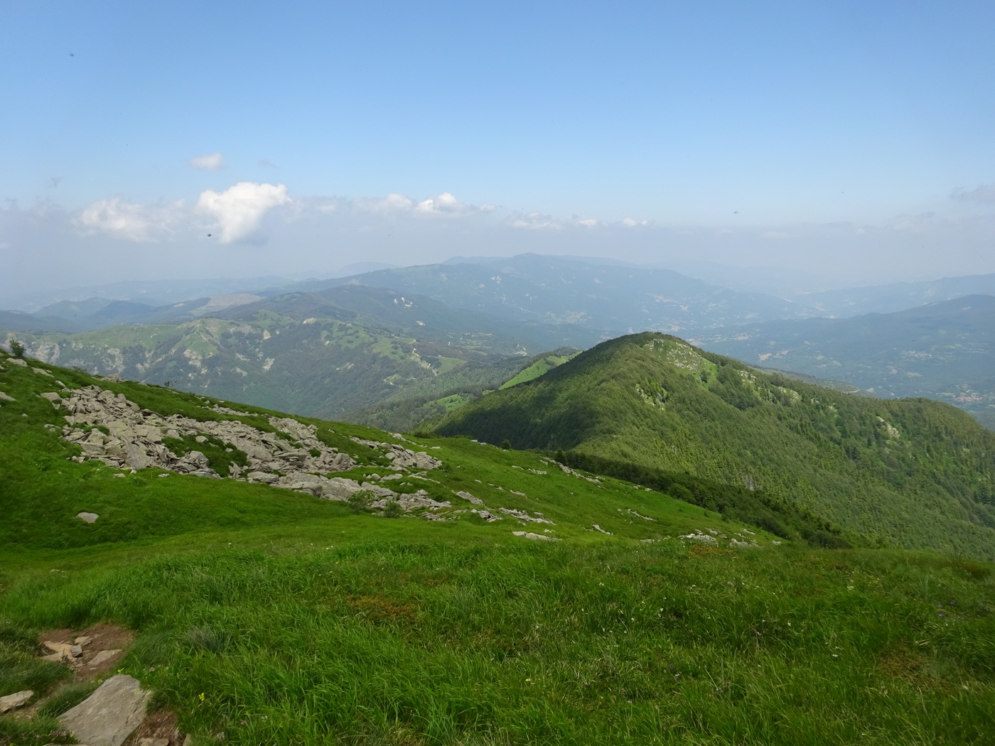Panorama dal Monte Orsaro verso la bassa Val Parma