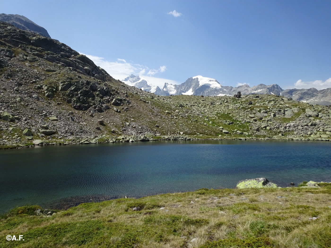 Il Lej Pers; sullo sfondo Piz Bernina e Piz Morteratsch
