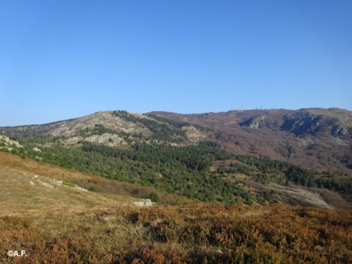 Monte Beigua da Varazze per le Faie
