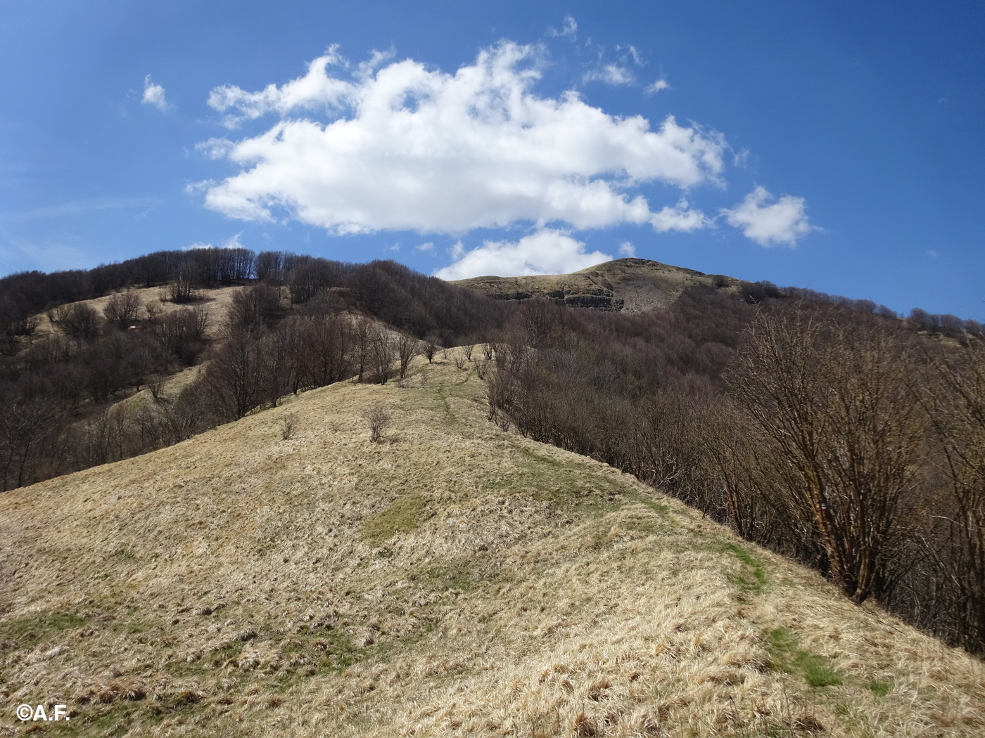 Il Monte Carmo visto da est