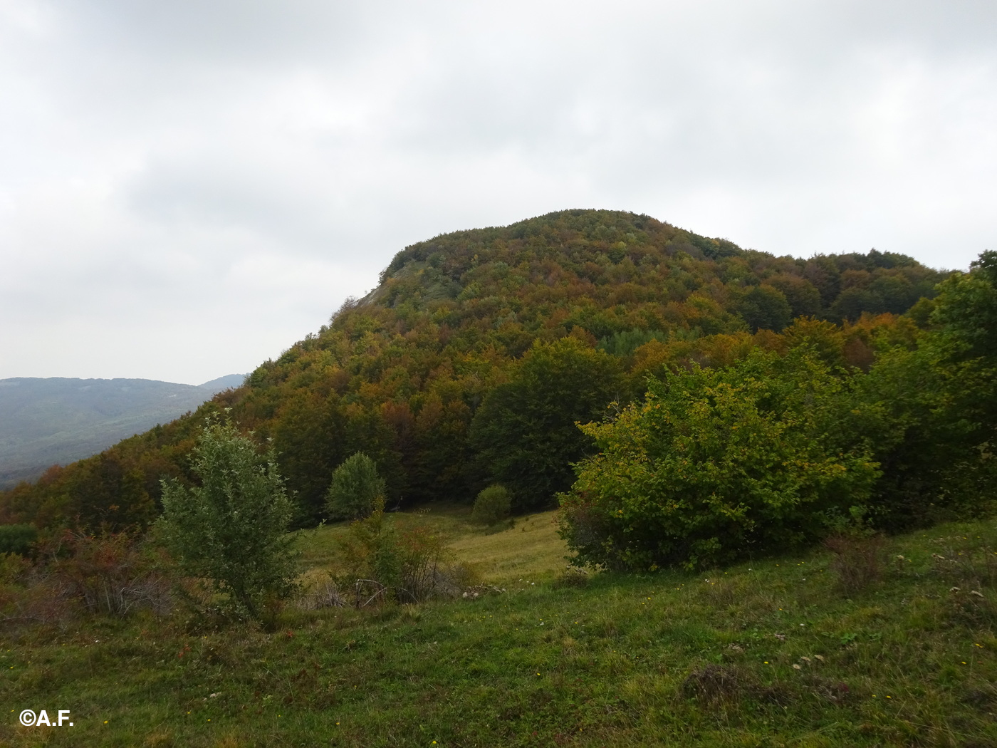 La cupola sommitale del Monte Cervellino vista da sud