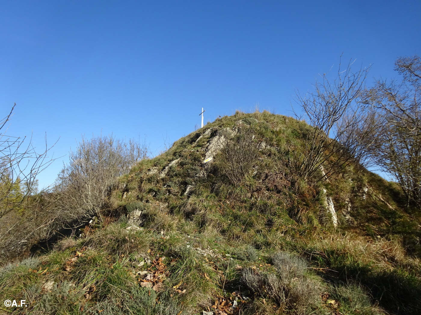 Il dosso sommitale del Monte Liprando