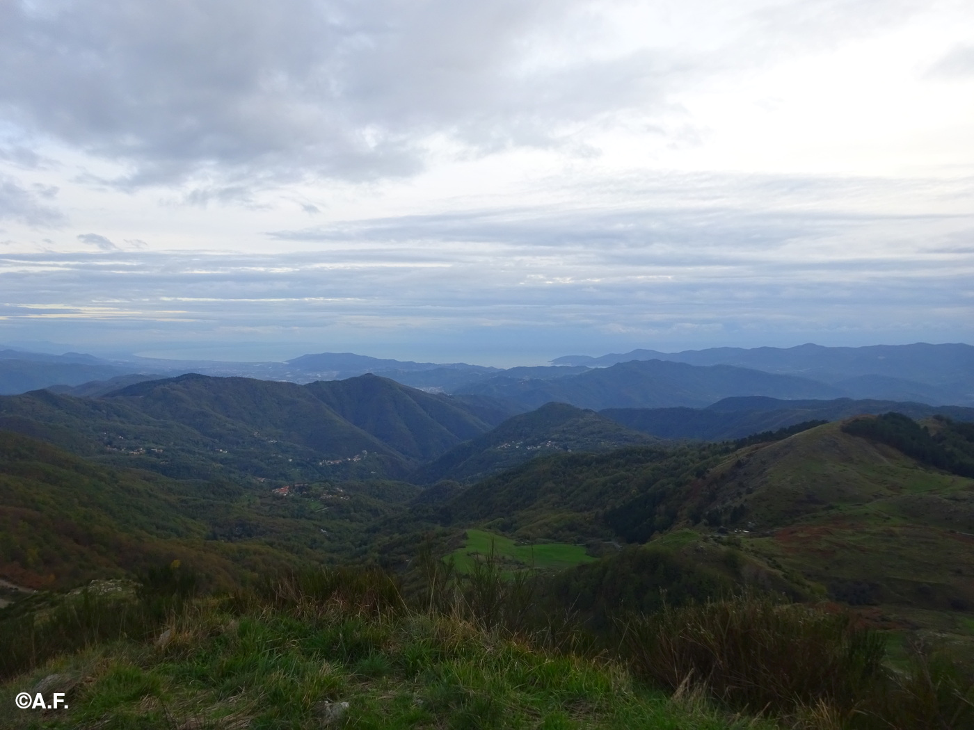 Panorama verso il mare dal Monte Coppigliolo