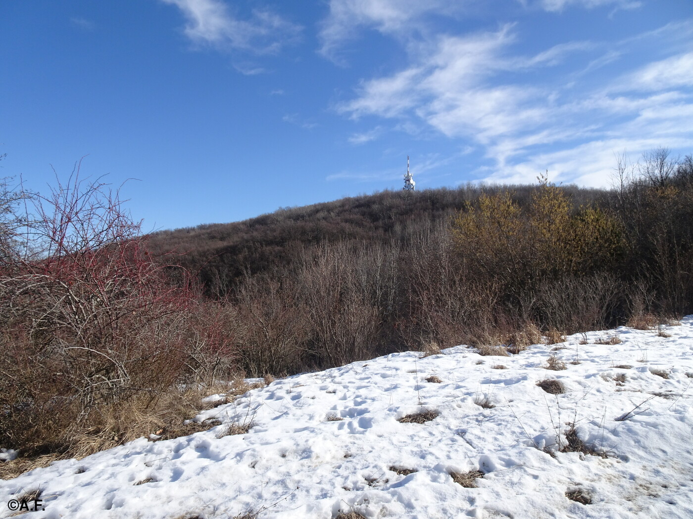 Salendo verso l’ampia cima del Monte Cassio