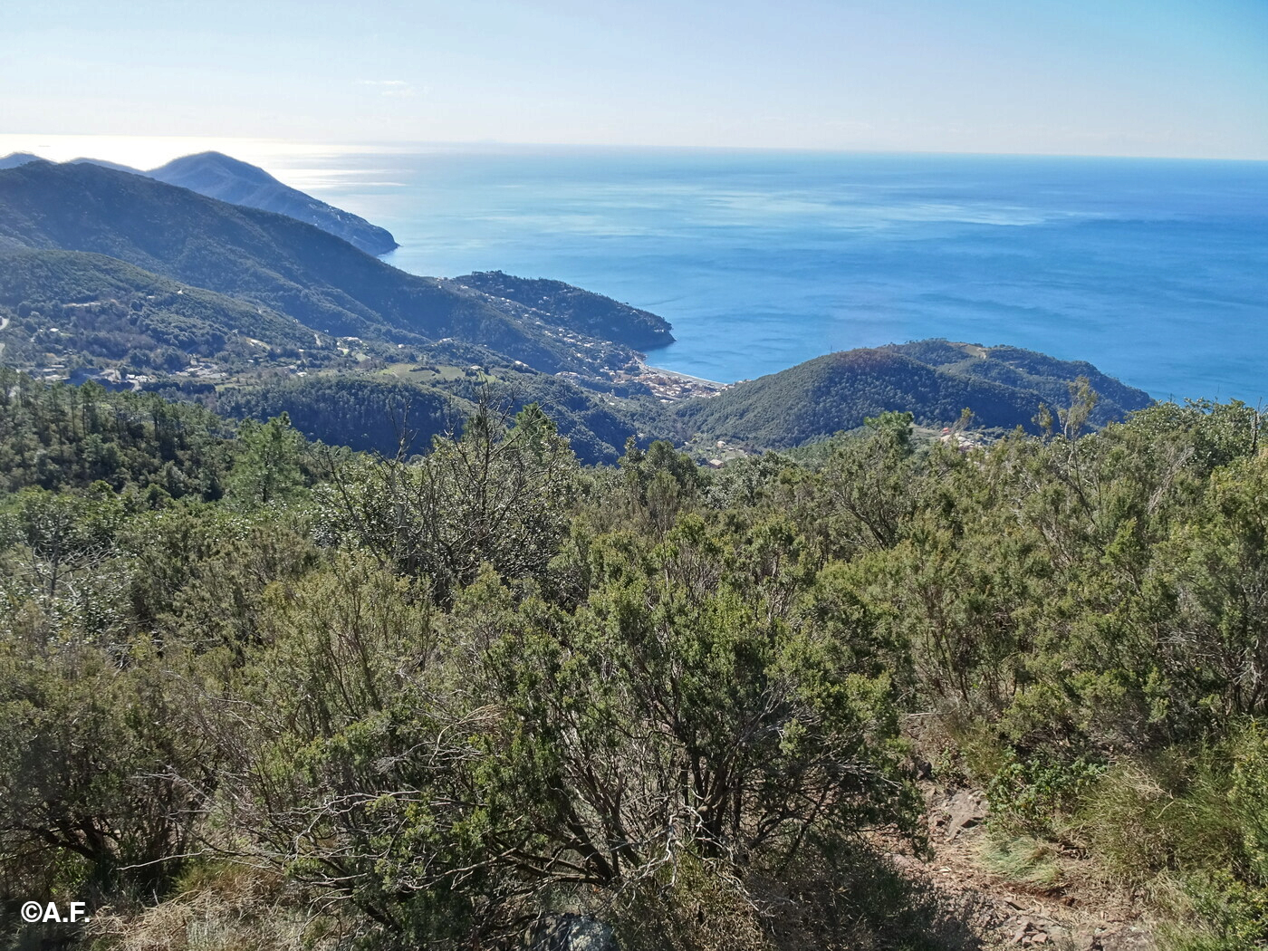 Panorama dal Monte Grumo su Bonassola e il mare