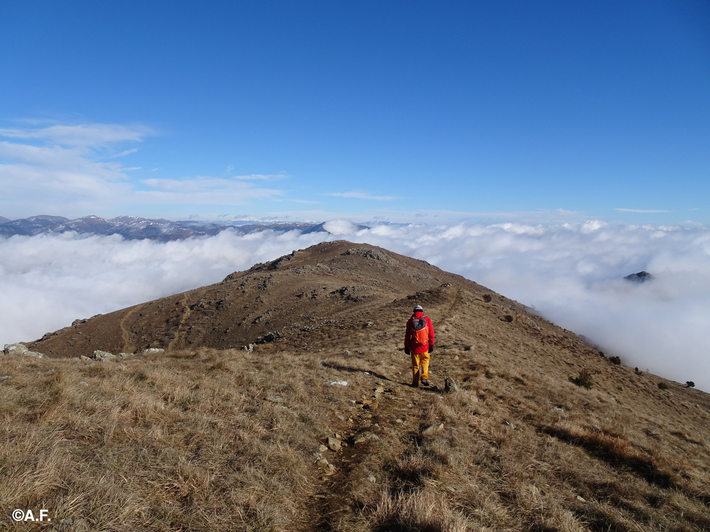 L'ampia dorsale tra il Monte Tardía Ponente ed il Passo Tardíe