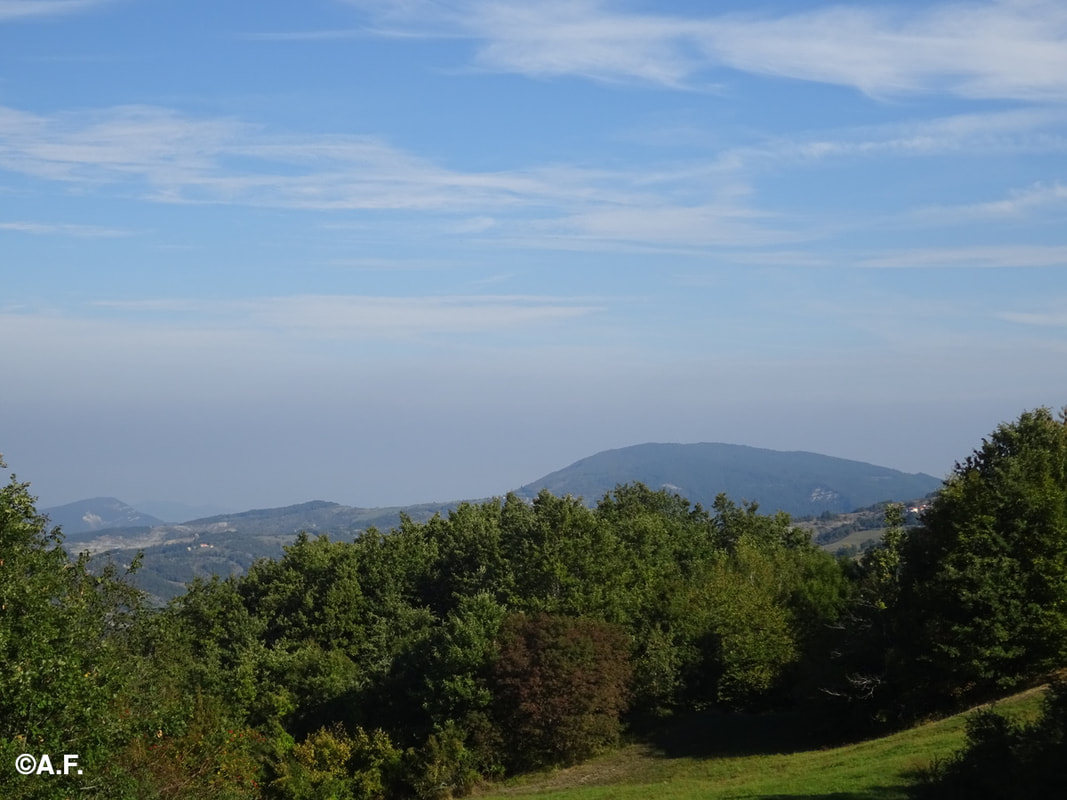 Il cupolone del Monte Cassio visto dai pressi di Fugazzolo