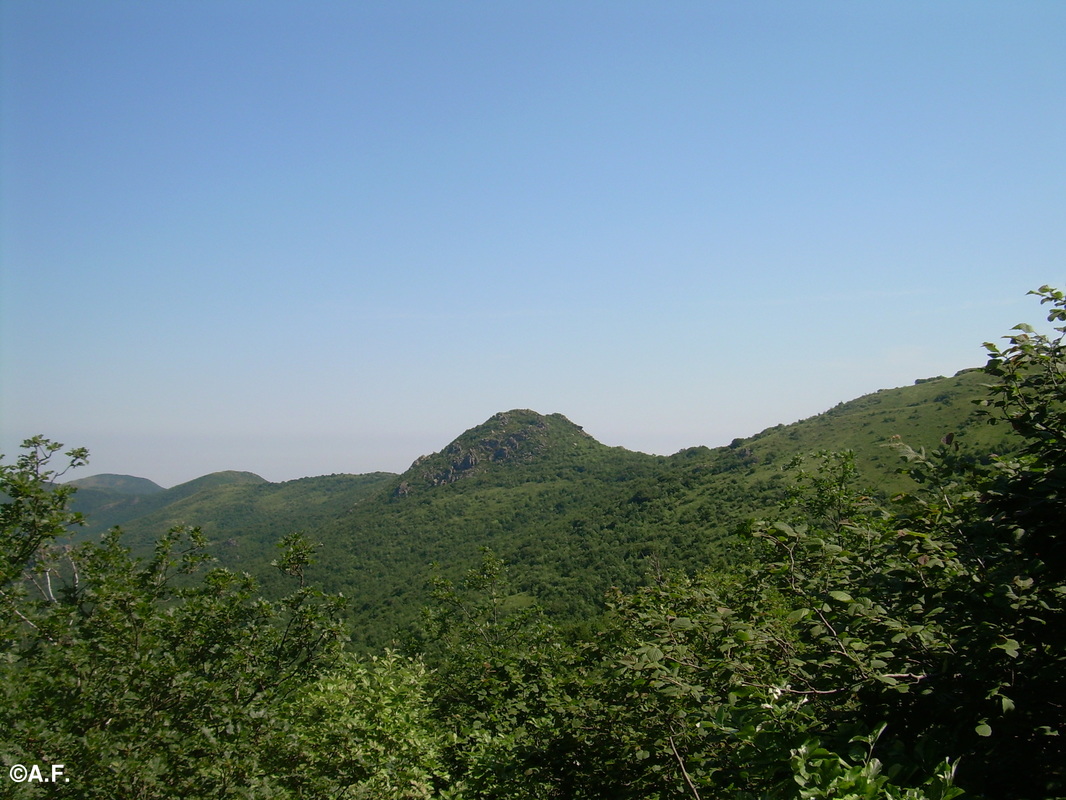 Panorama sul Bric Dentino dalla valle del Rio Baracca