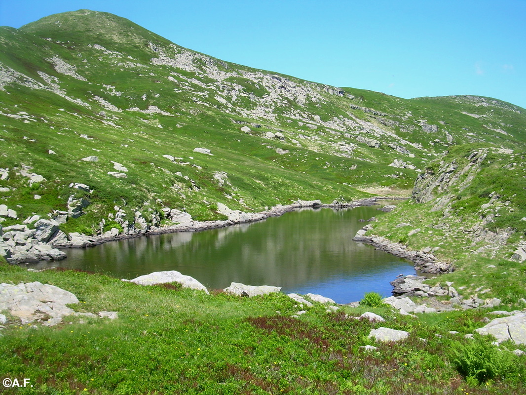 Il Lago Martini
