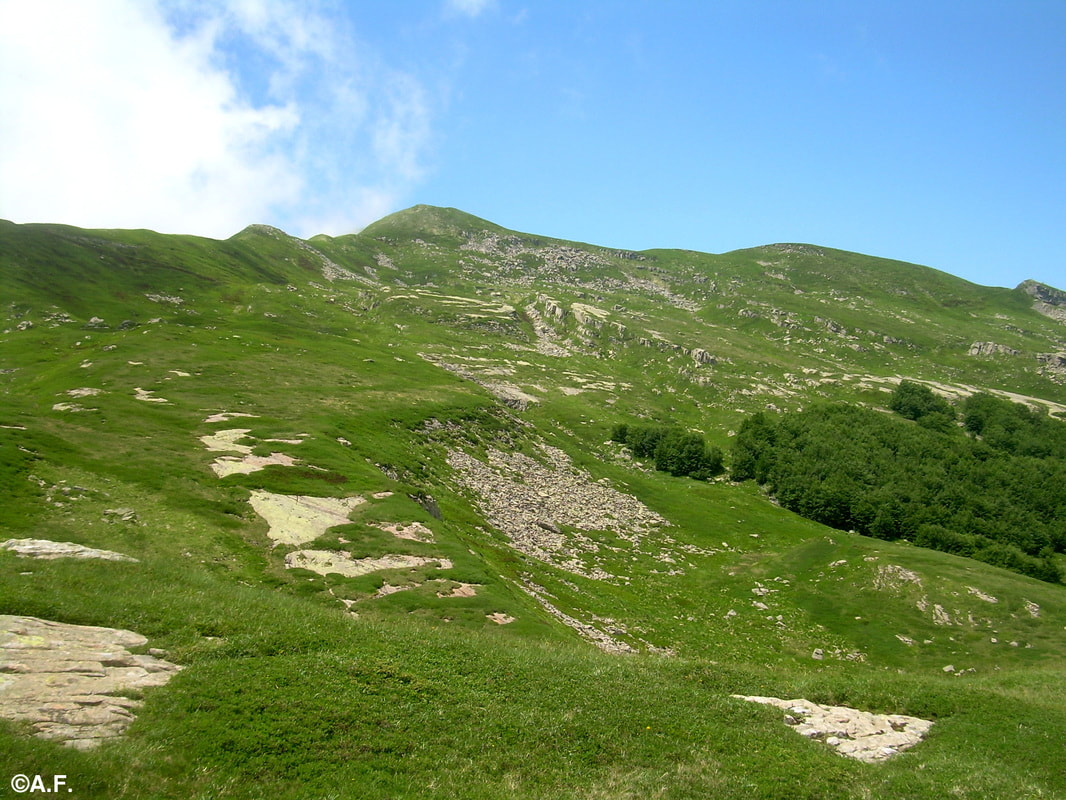 Il versante nord-est del Monte Bragalata