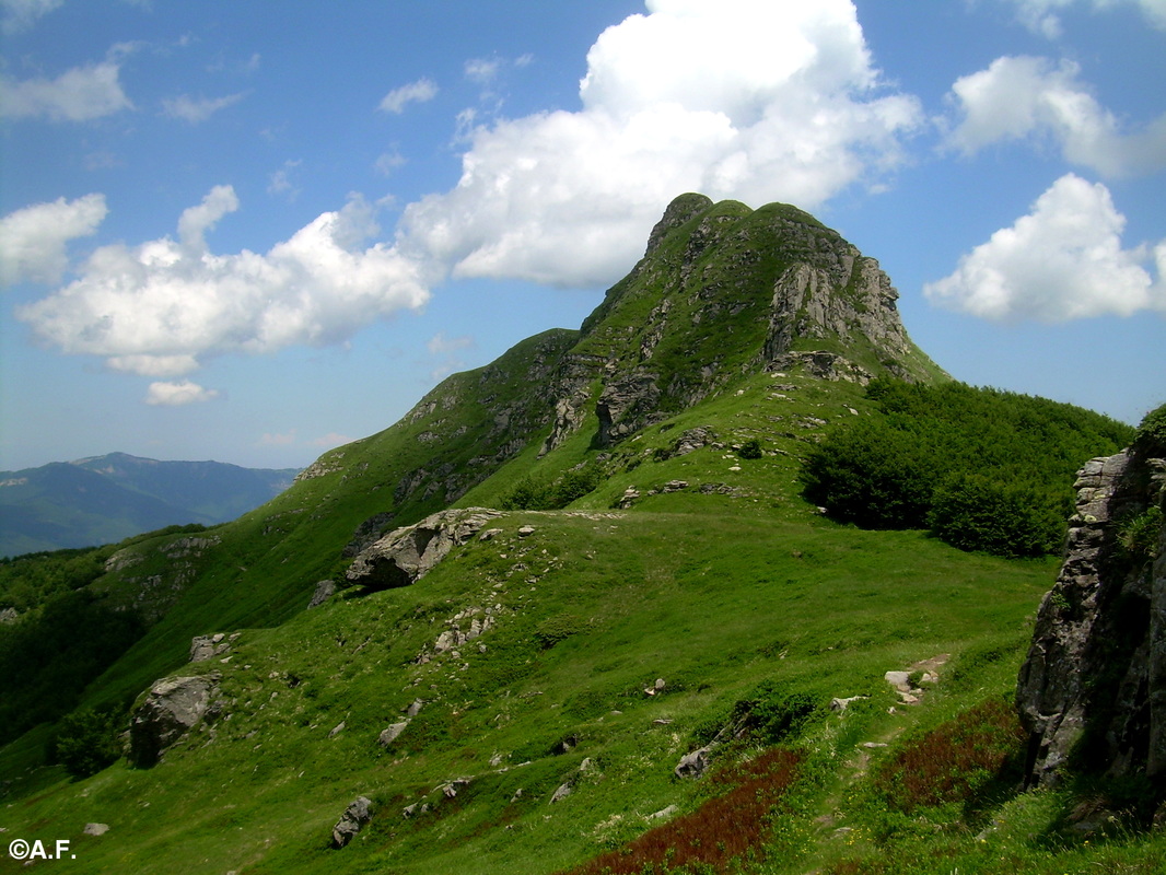 L'aguzzo Monte Torricella