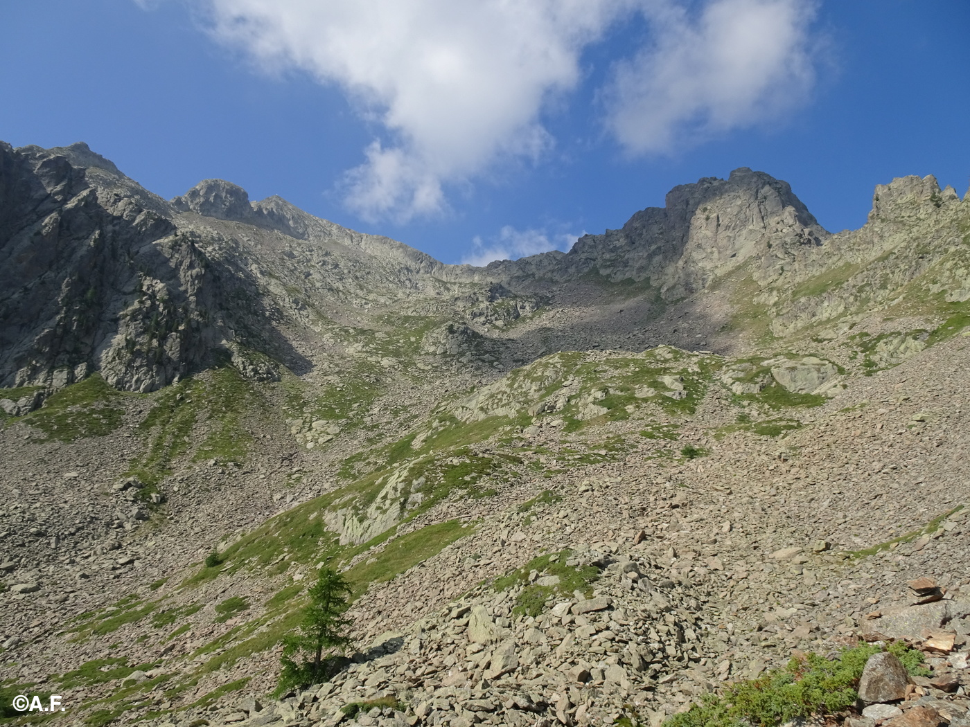 Il selvaggio vallone del Chiot della Roccia