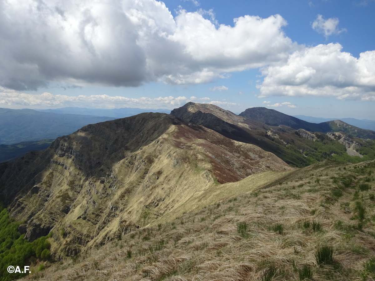 I monti Aquila, Marmagna e Orsaro dal Monte Brusà