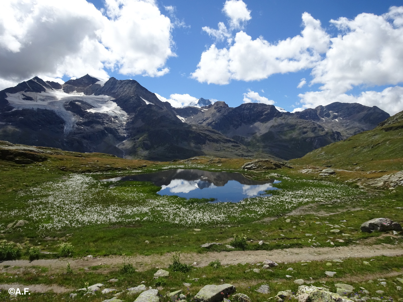 Le cime del Massiccio del Bernina si specchiano in una pozza