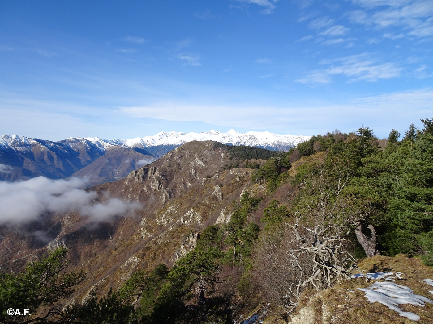 La Punta dell'Arpetta e le Alpi Marittime dalla Testa d'Alpe