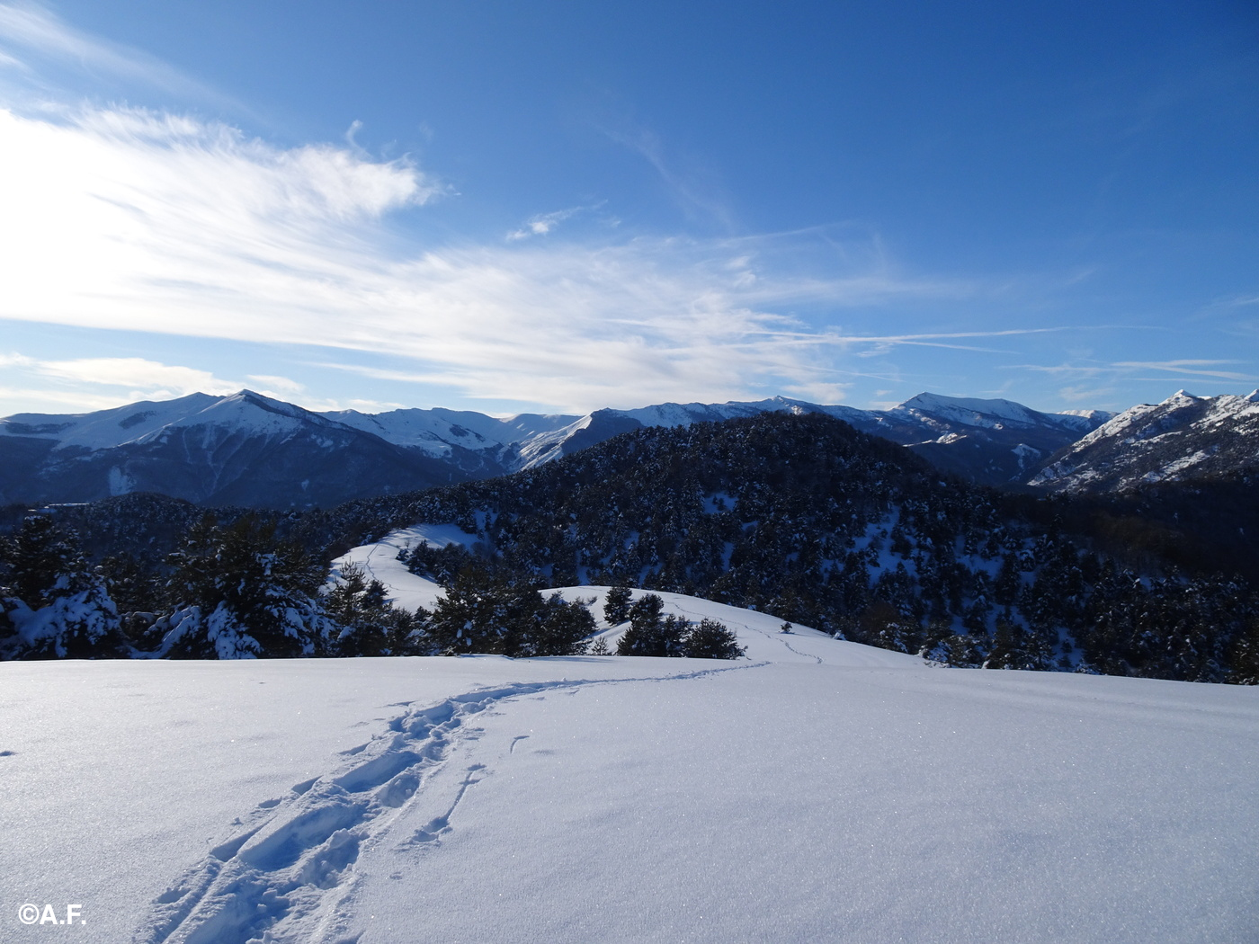 Panorama dal Poggio dell'Allodola: in primo piano la Cima dei Prati di Cosio; sullo sfondo la catena dei monti Frontè, Saccarello, Missun e Bertrand