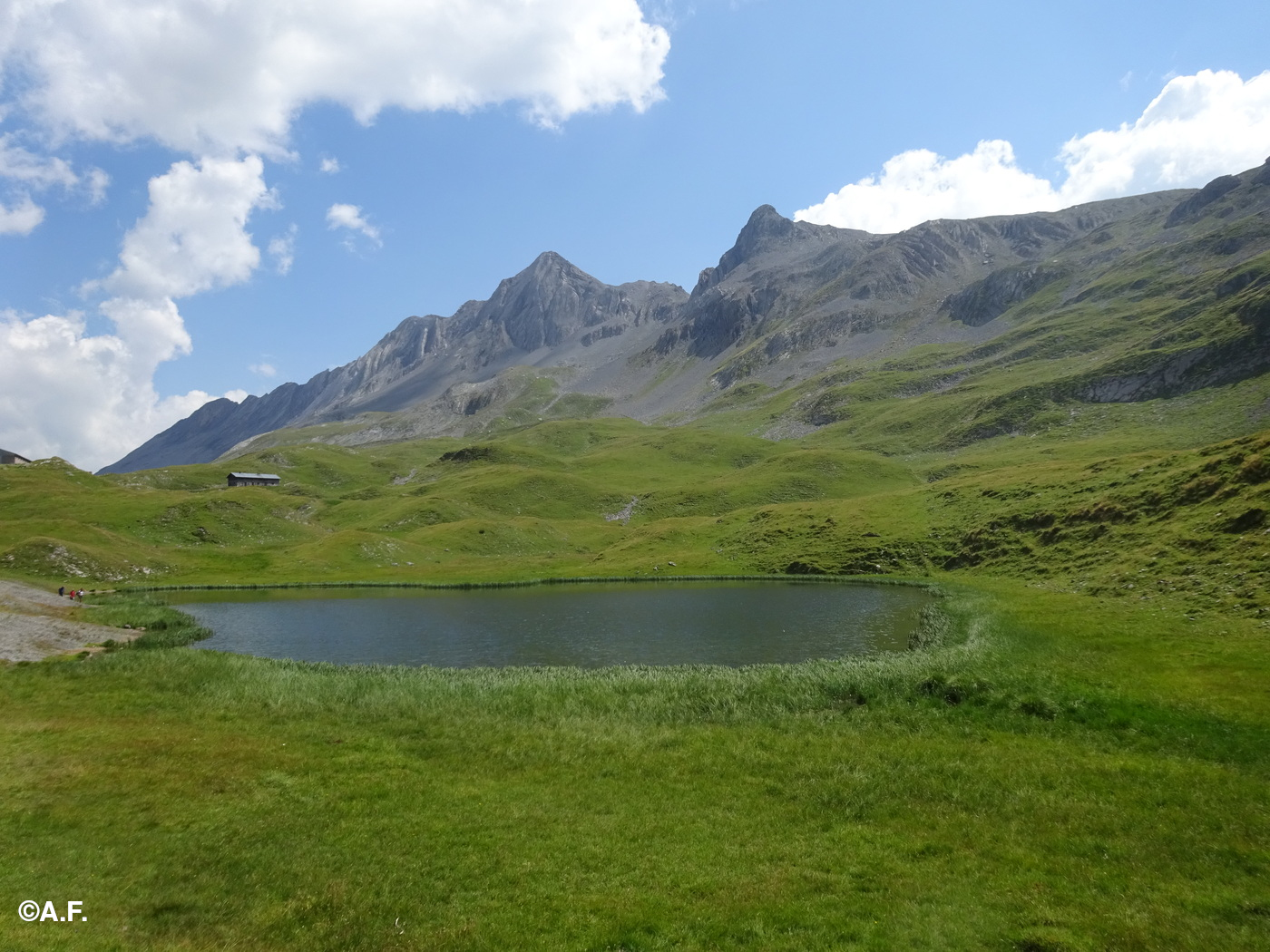 Il Lago dell'Alpisella con i monti Pettini e Torraccia sullo sfondo