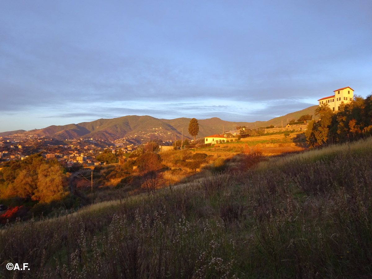 Luci dell'alba sul Monte Caggio