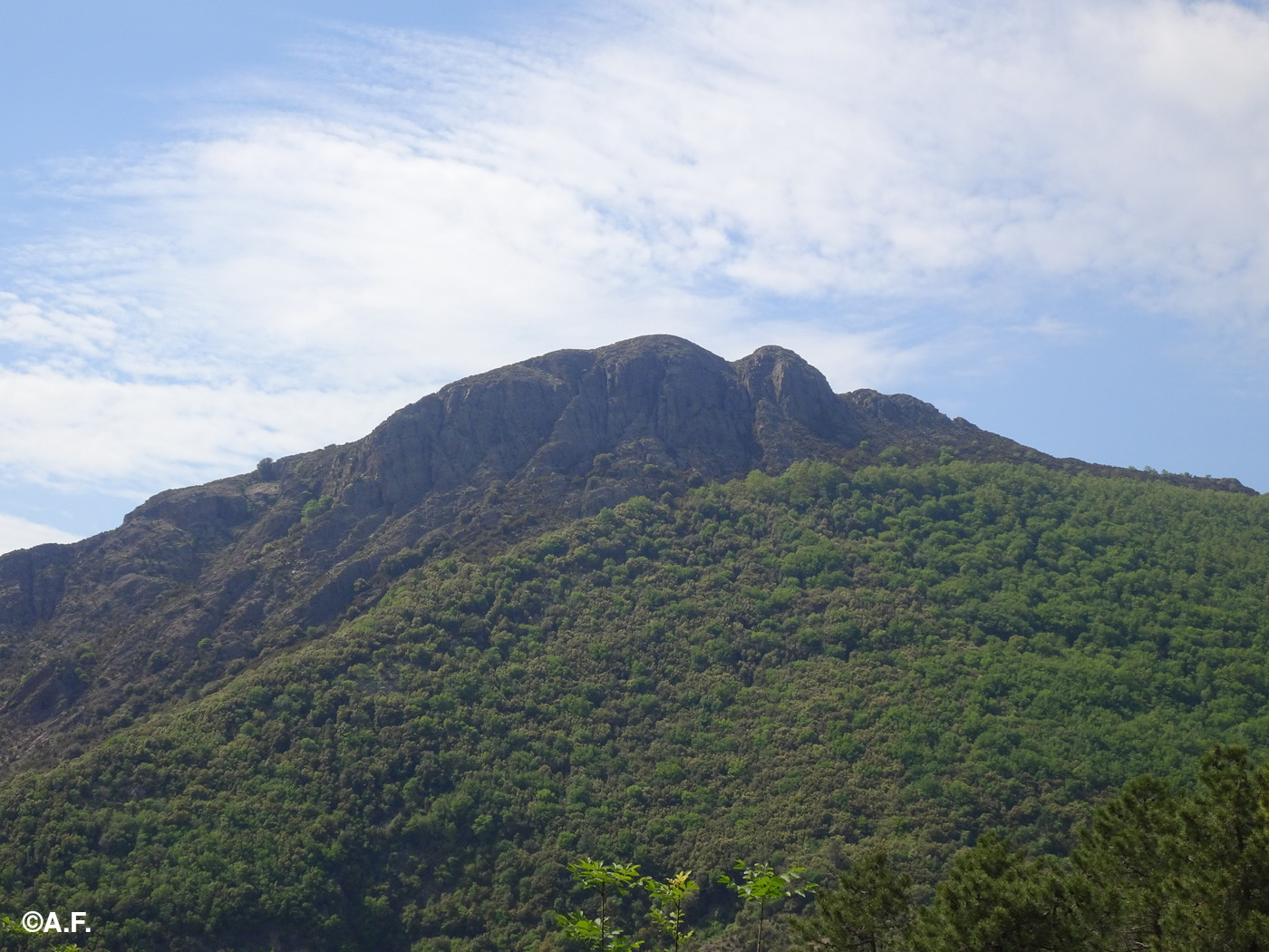 Il Monte Treggín visto da est