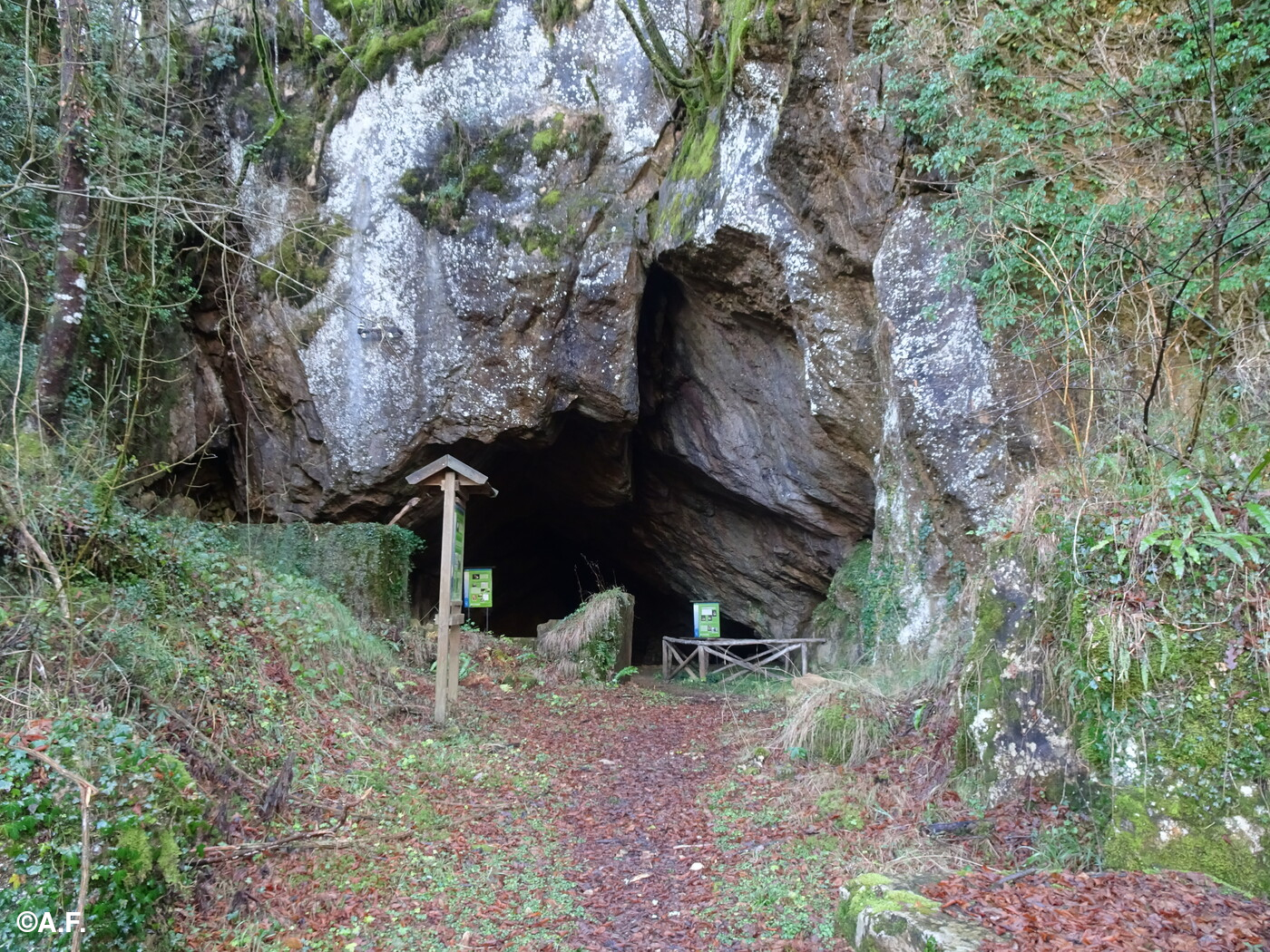 L'ingresso della Grotta Grande di Pignone