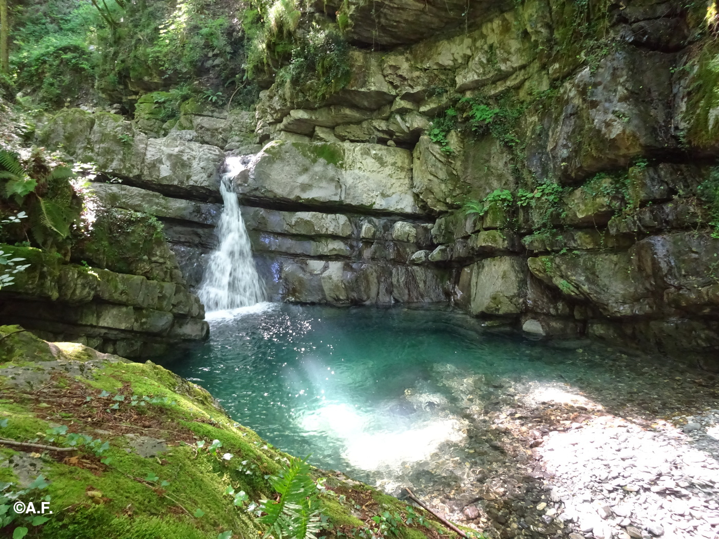 Il laghetto presso il mulino di Cisiano