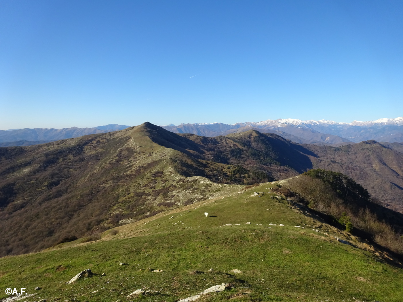Il Pizzo d'Evigno visto dal Monte Ceresa; sullo sfondo a destra si riconosce il Monte Frontè