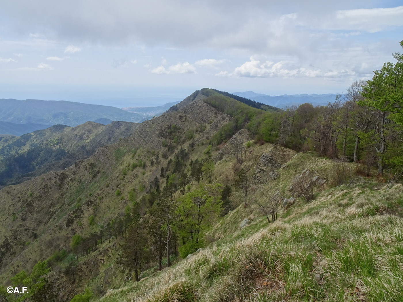 La cresta sommitale del Monte Zatta dalla cima