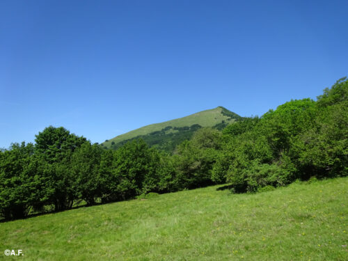 Monte Alfeo da Ottone