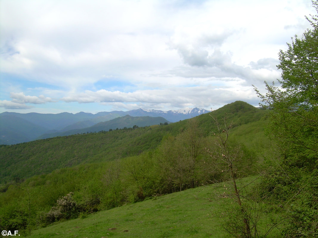 Panorama dai pressi della Colla d'Onzo; sullo sfondo il Monte Frontè
