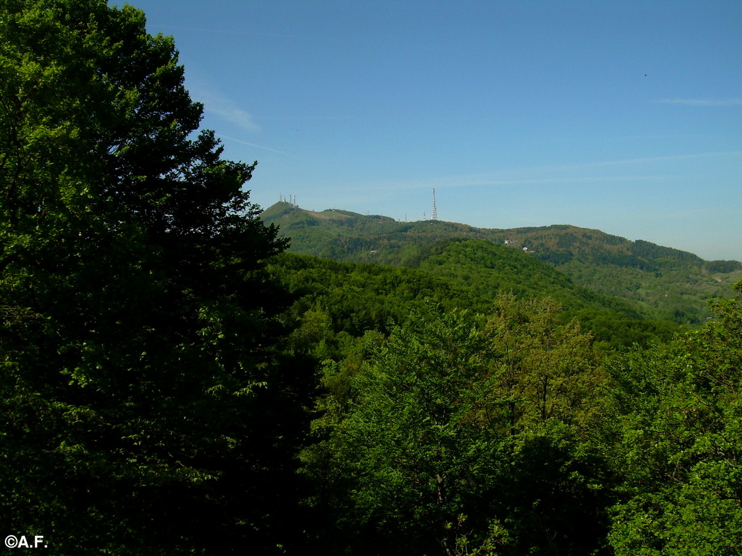 Il Monte Pénice visto dalla zona dei Sassi Neri