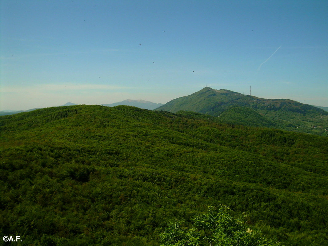Il Monte Pénice visto dalla Pietra di Corvo; sullo sfondo il Monte Lésima