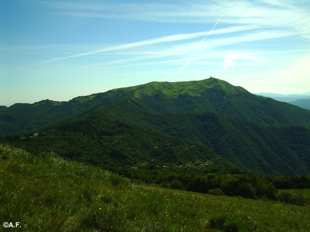 Il Monte Lésima visto dal Monte Chiappo