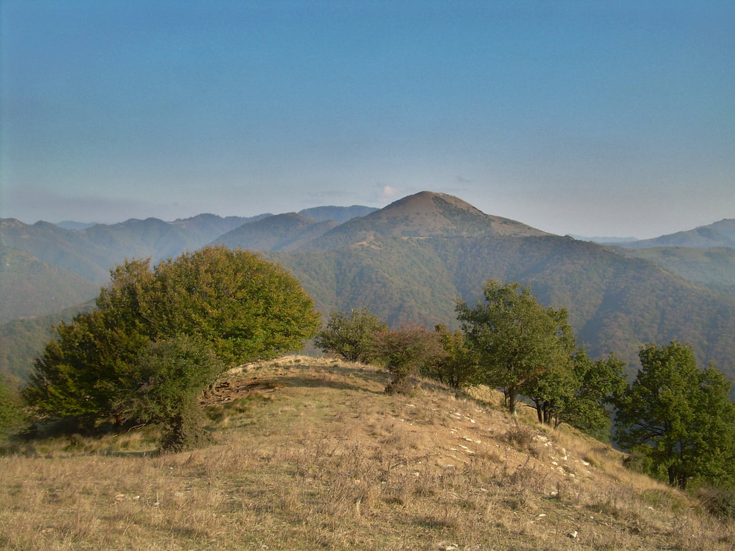 Panorama dal Monte Carossino verso est, con il Monte Alpesisa in primo piano