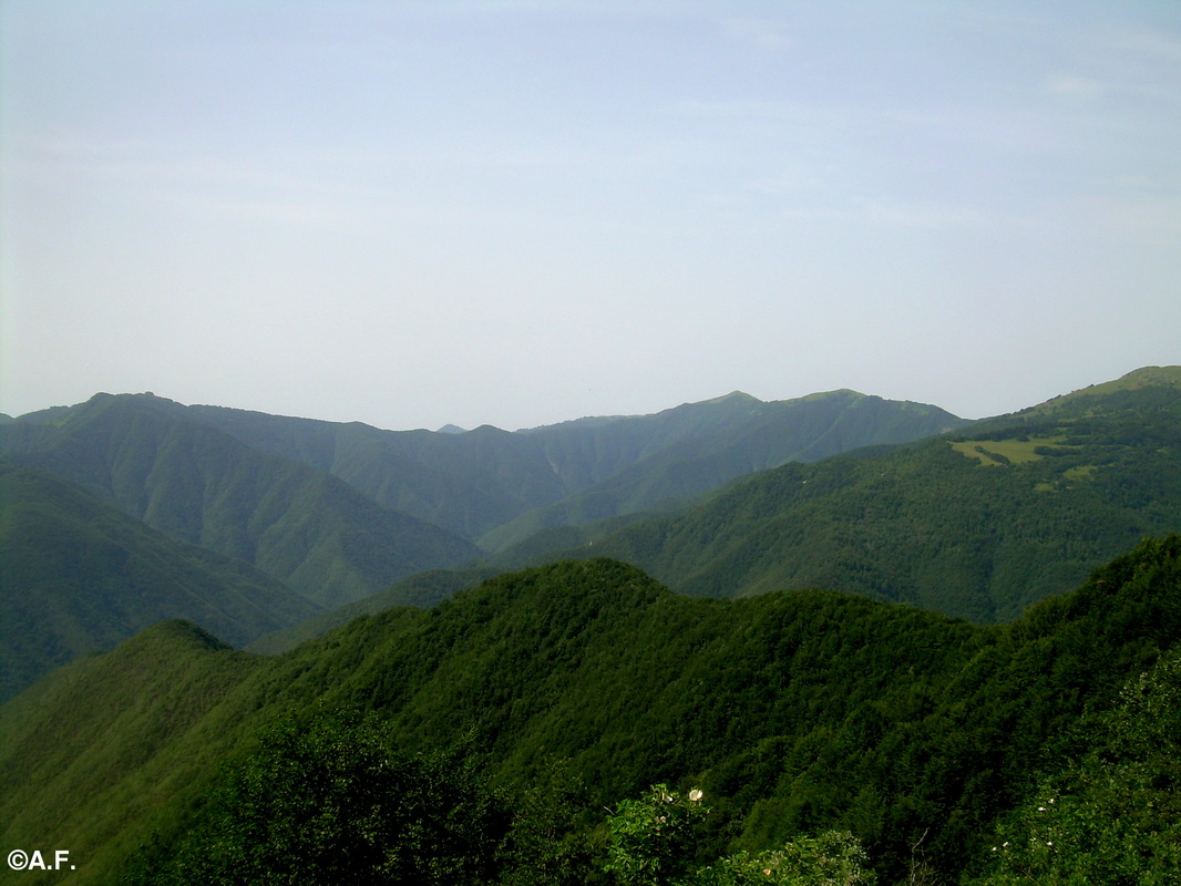 Panorama dal sentiero 101: la selvaggia Val Boreca e, sullo sfondo, il Monte Carmo e il Poggio Rondino