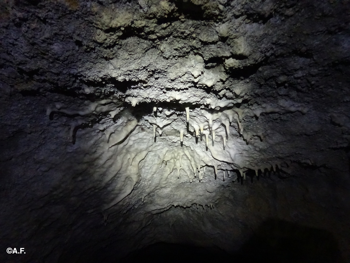 Piccole stalattiti nella prima galleria