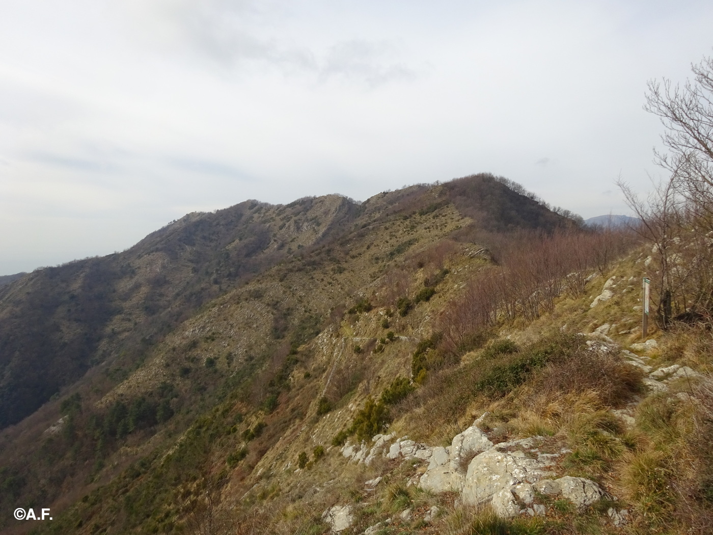 Il Monte Borgo visto dal Passo della Serra