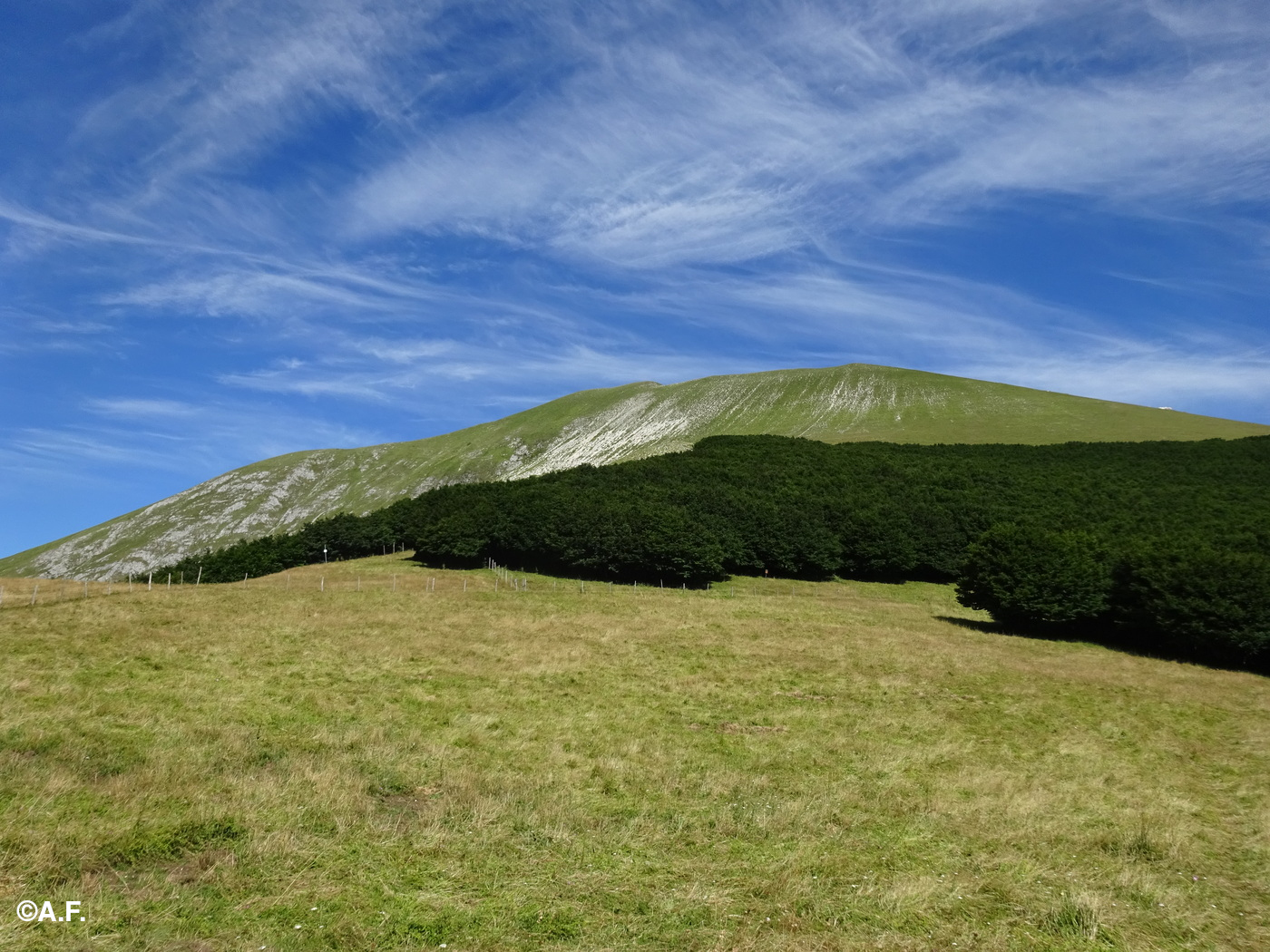 La cresta del Monte Acuto vista dal punto di partenza