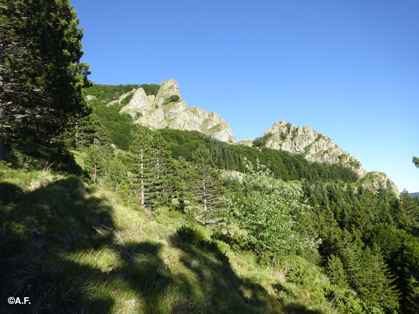 Salendo sul versante sud-ovest del Groppo Rosso