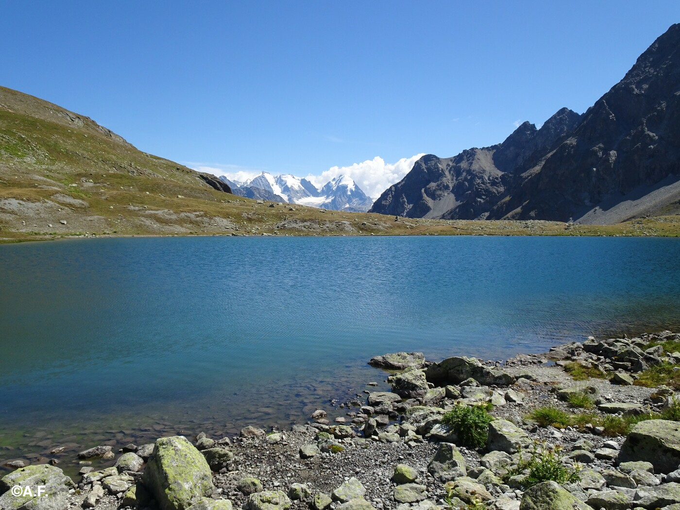 Il Lej Suvretta e, sullo sfondo, le cime del Bernina