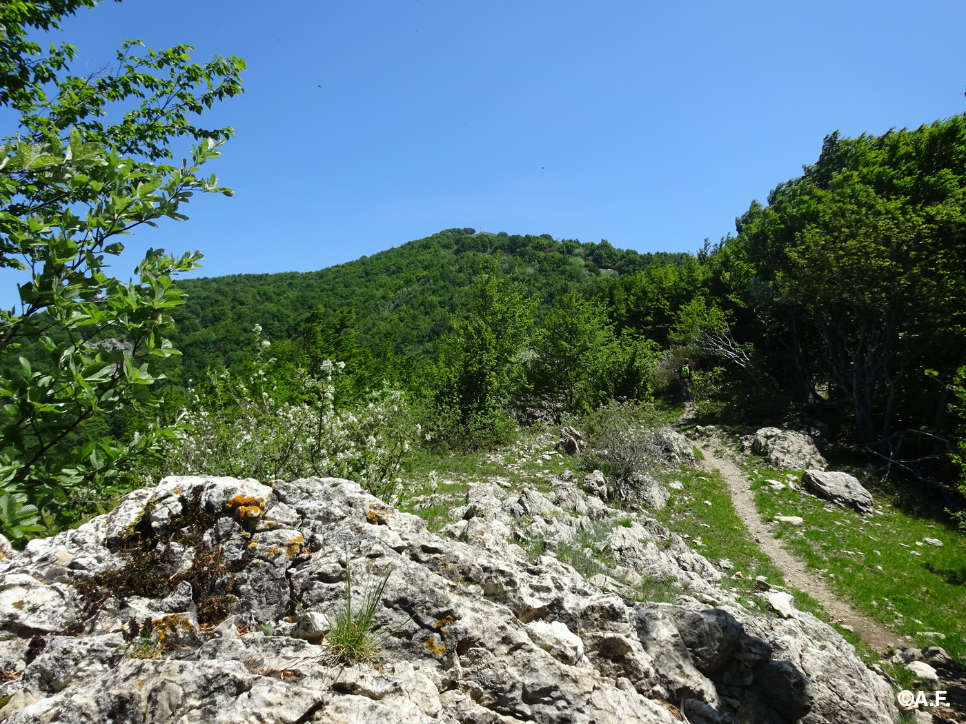Tratto dell'Alta Via dei Monti Liguri