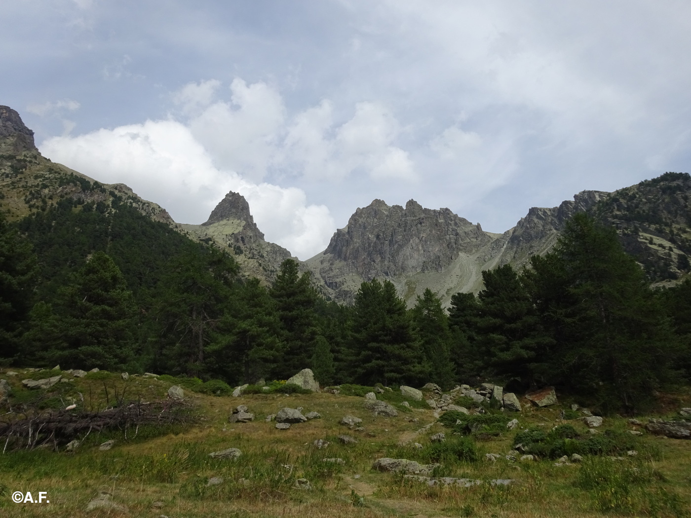 La Guglia delle Forciolline e le Rocce Meano dall'inizio del sentiero Nicoli