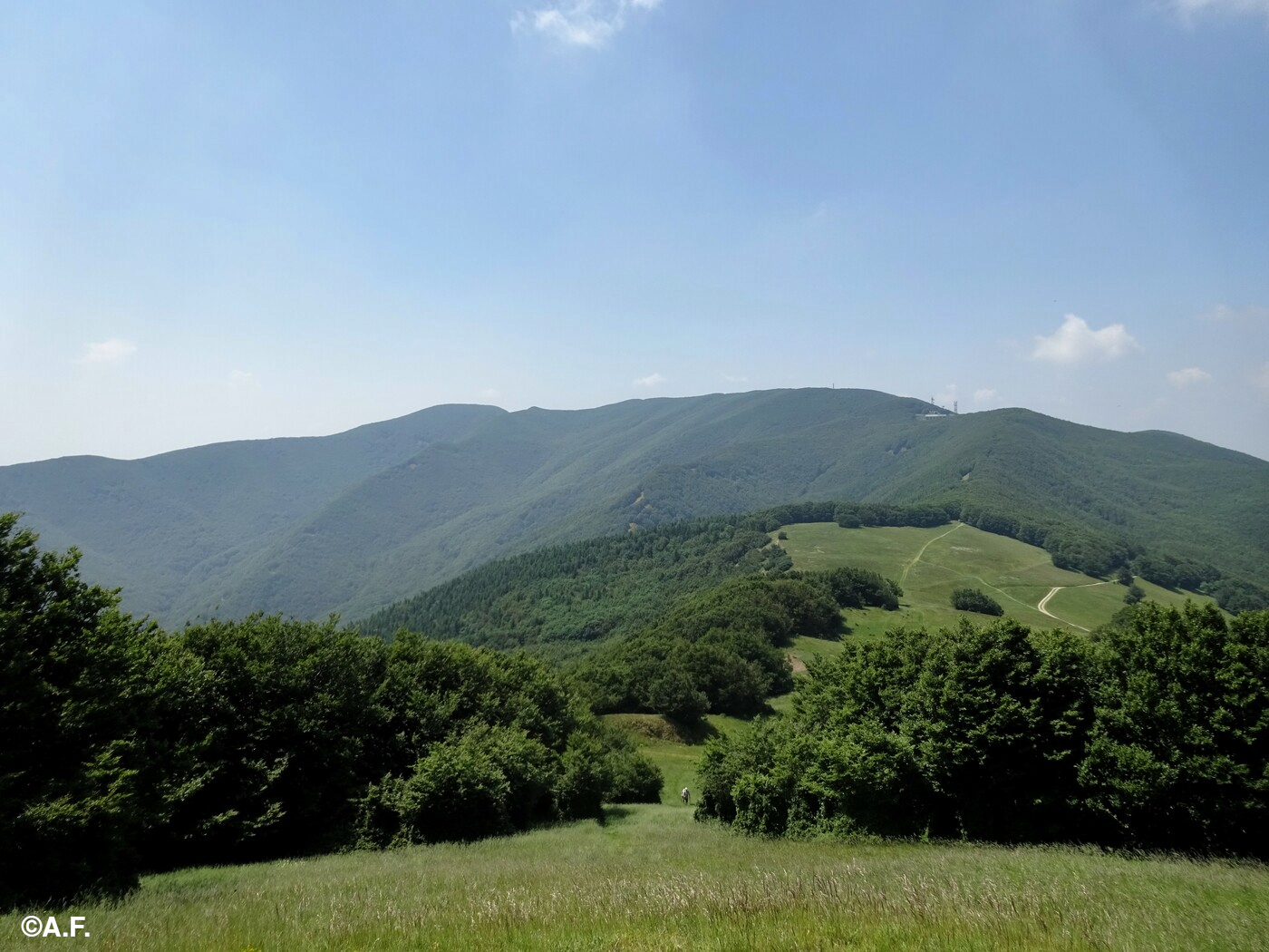 I monti Falterona (a sinistra) e Falco dal Monte Gabrendo