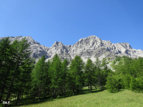 Grand’Hoche e Guglia d’Arbour da Chateau Beaulard