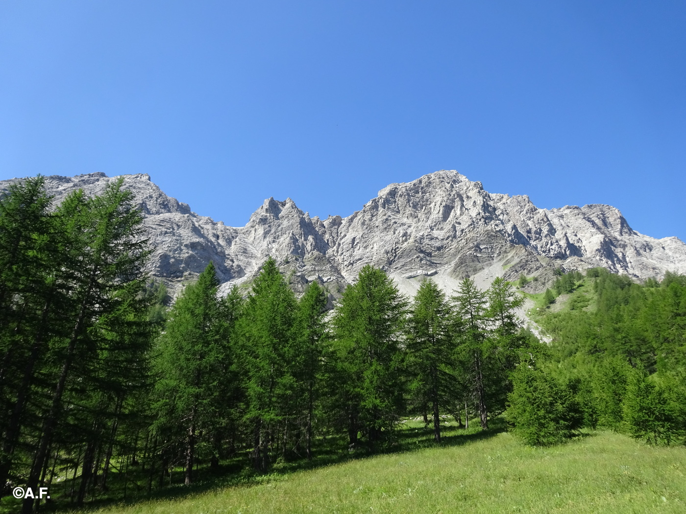 Le pareti dolomitiche della Rocca dell'Aquila e della Grand'Hoche