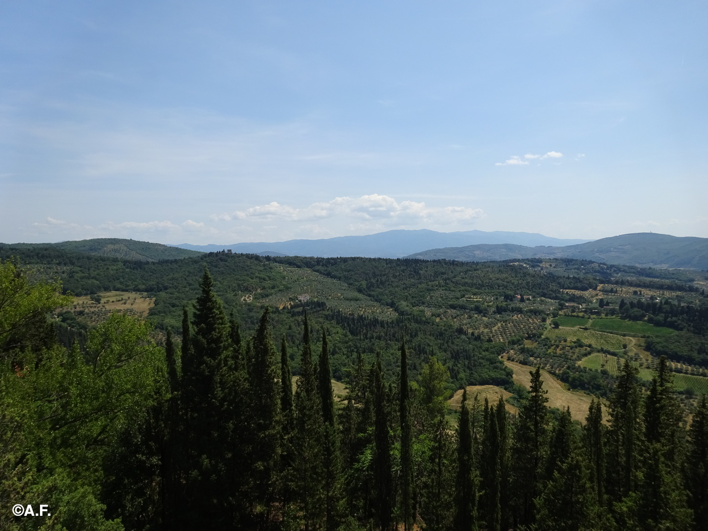 Panorama dai pressi della Cava Fratelli Sarti; sullo sfondo il Pratomagno
