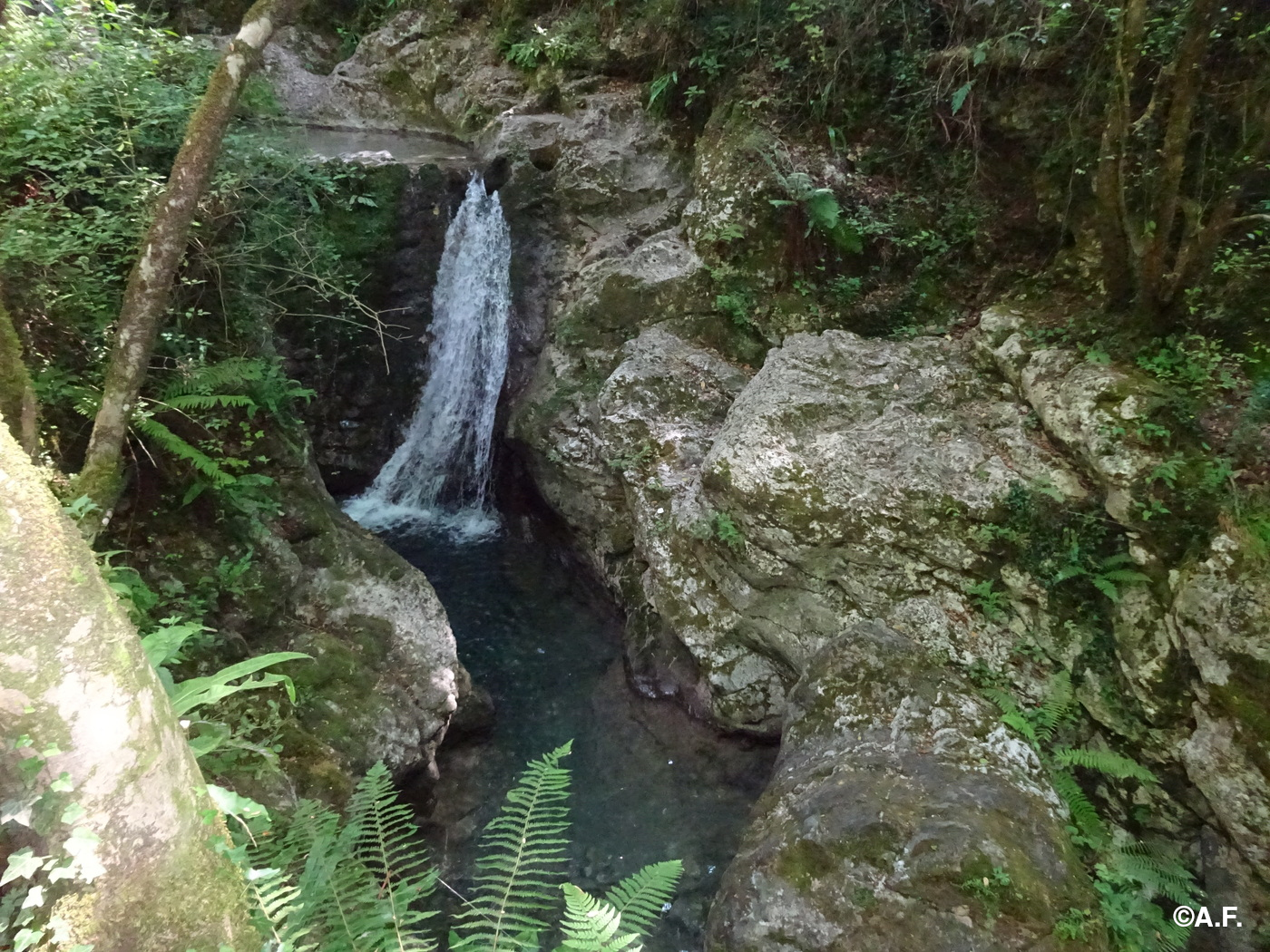 Una bella cascatella lungo il Torrente Lombricese