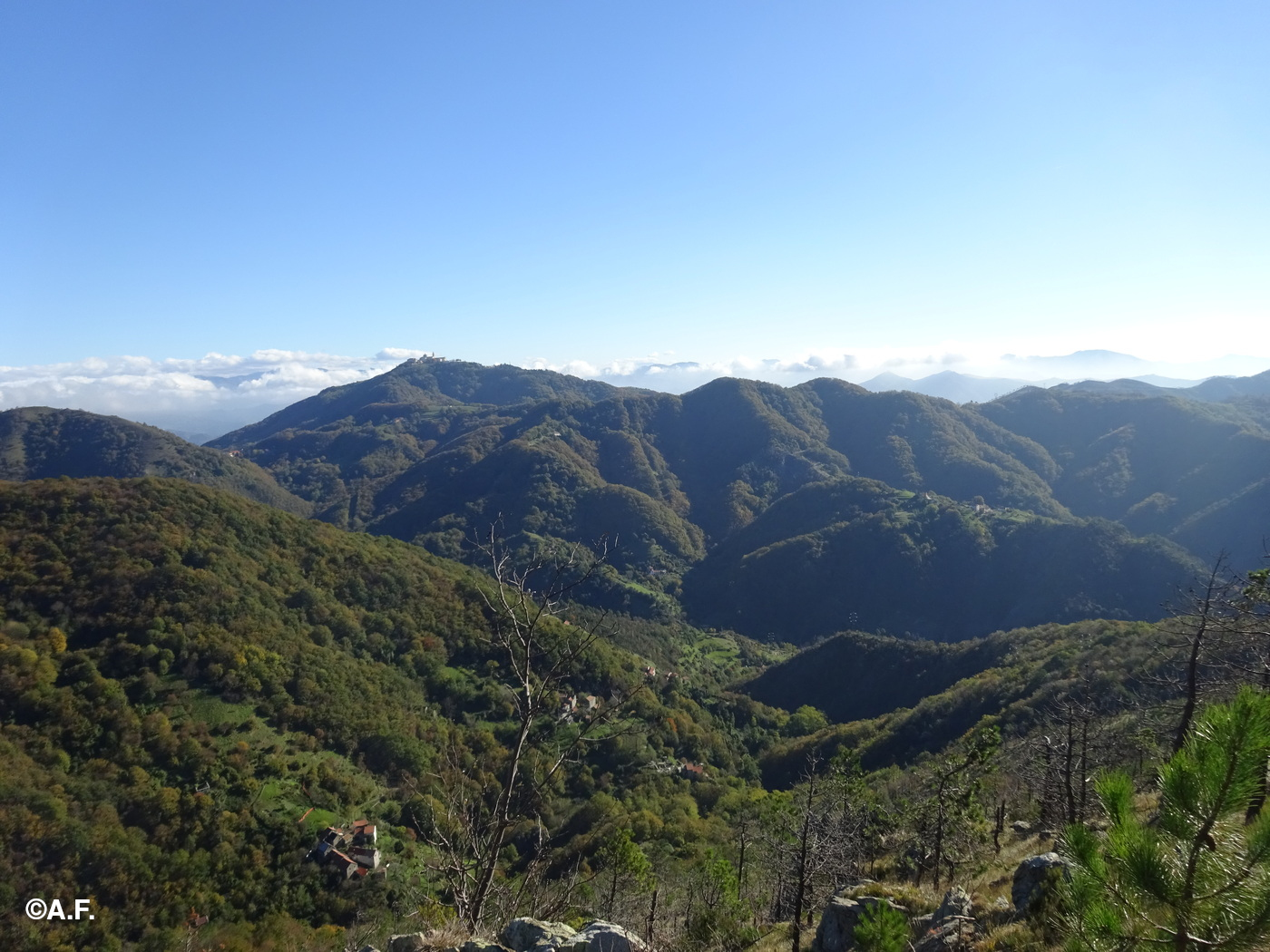 Il Monte Figogna visto dal sentiero che sale da Camposilvano al Monte Penello
